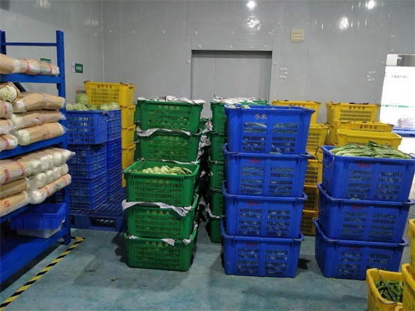 東莞蔬菜配送分析單位食堂蔬菜采購(gòu)如何提高采購(gòu)效率?