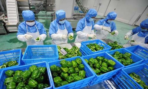 深圳蔬菜配送公司簡析如何提高分揀效率